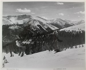 Image description is not available for 2007.028